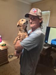 Reunited Male Dog last seen Newsome Rd and Coolwood Ln Mesquite Texas, Mesquite, TX 75149