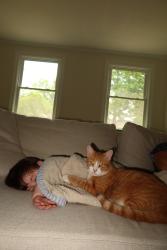 Lost Male Cat last seen dollar general, Chesapeake, VA 23324