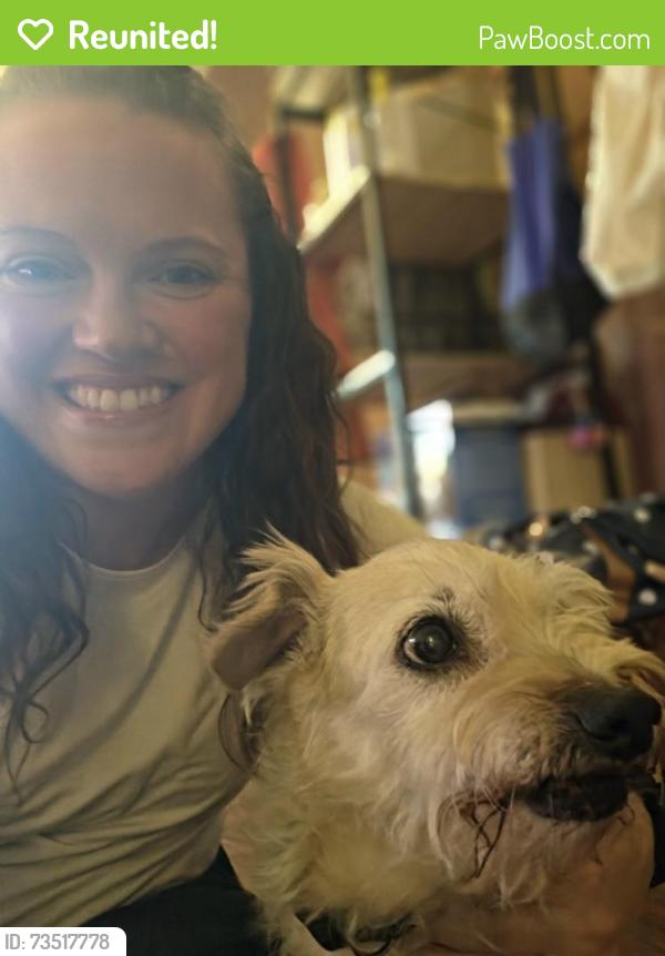 Reunited Male Dog last seen Dartmouth and Fox, Englewood, CO 80110