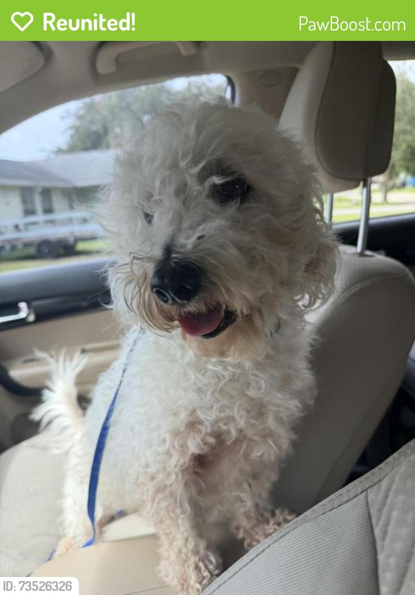 Reunited Male Dog last seen Lake Trudy Dr Saint Cloud, St. Cloud, FL 34769