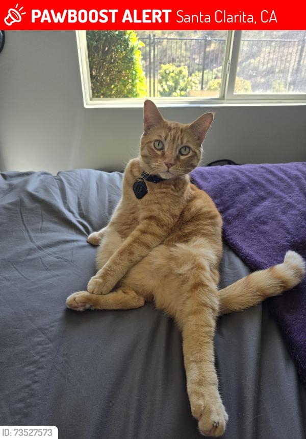 Lost Male Cat last seen Thompson Ranch Dr & Spencer Dr, Santa Clarita, CA 91387