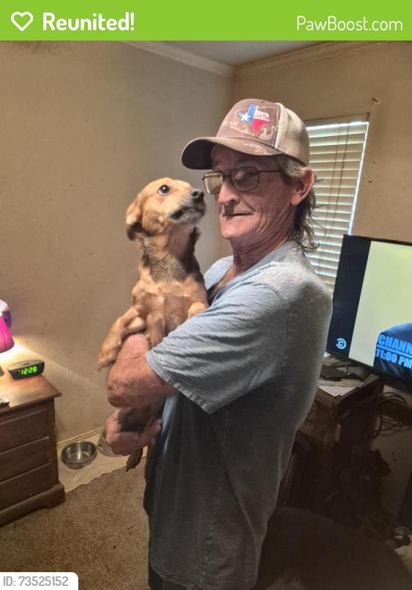 Reunited Male Dog last seen Newsome Rd and Coolwood Ln Mesquite Texas, Mesquite, TX 75149