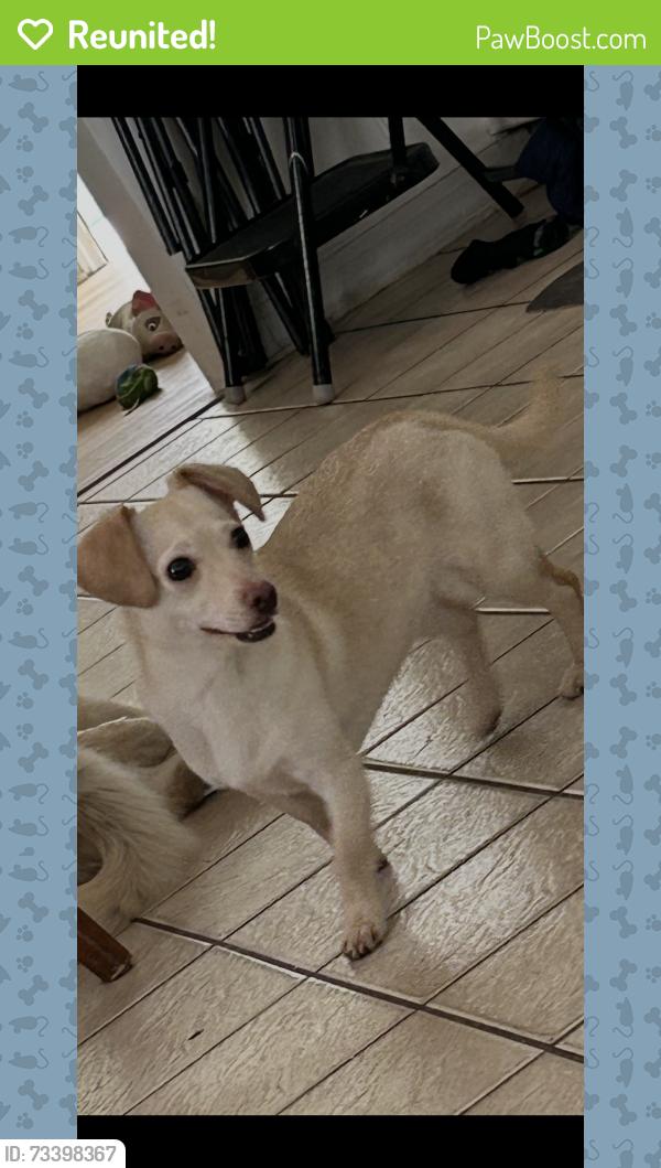 Reunited Female Dog last seen Behind Roses , Near the. It’s and Girls club, Wilmington, NC 28412