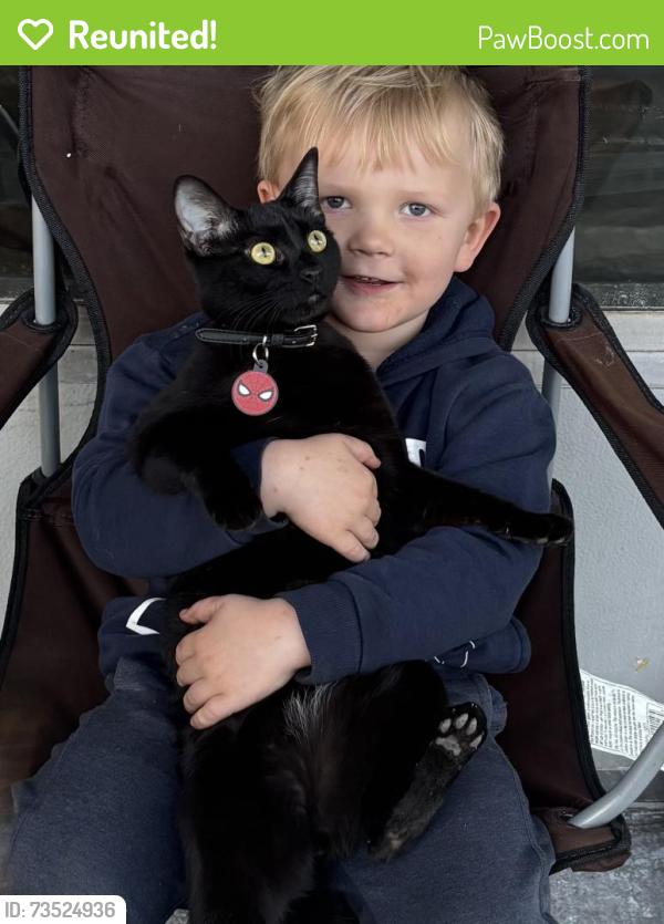 Reunited Male Cat last seen Skyview rd, Charlotte, NC 28208