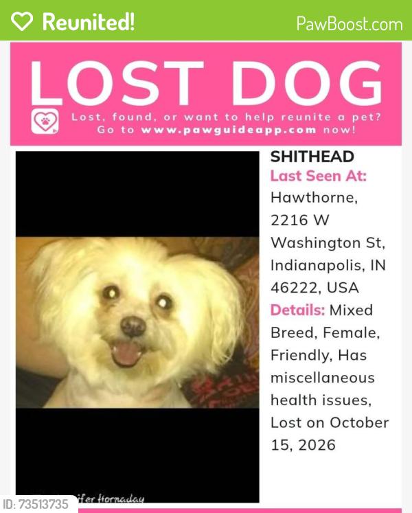 Reunited Female Dog last seen Belmont and Washington St, Indianapolis, IN 46222