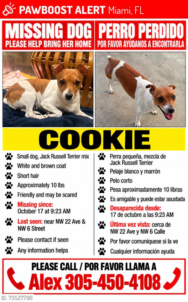 Lost Female Dog last seen NW 22 Ave & NW 6 Street, Miami, FL 33125