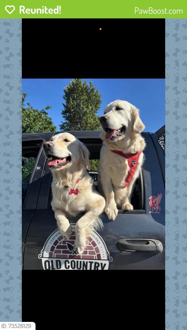 Reunited Female Dog last seen The Dyke Webster Landing, Chilliwack, BC V2R 4P8
