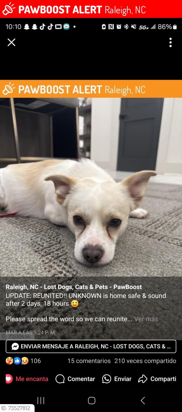 Lost Male Dog last seen See last time for starbucks close new bear, Raleigh, NC 27609