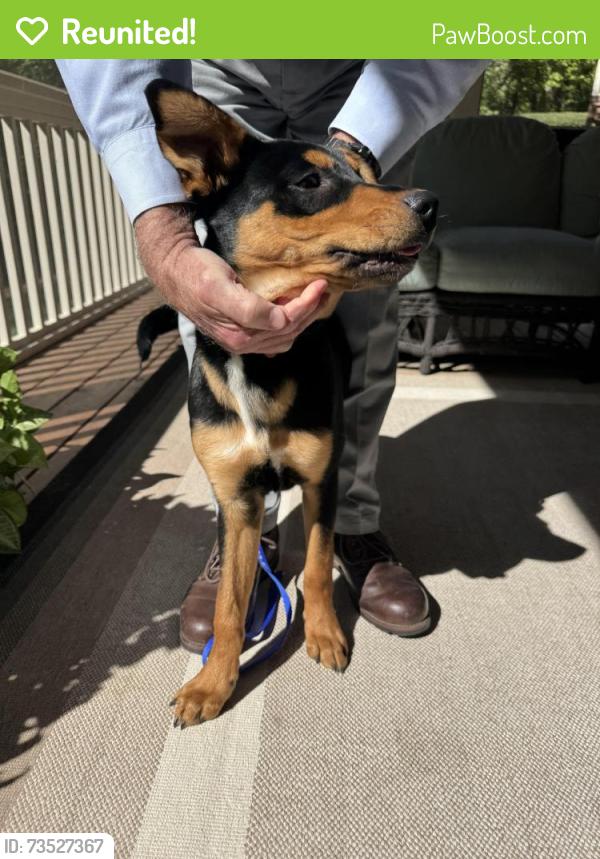 Reunited Male Dog last seen Mountain Laurel, Chapel Hill, NC 27517