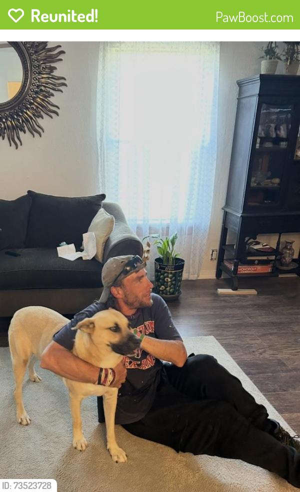 Reunited Female Dog last seen Burkett, Tierwester, Houston, TX 77004