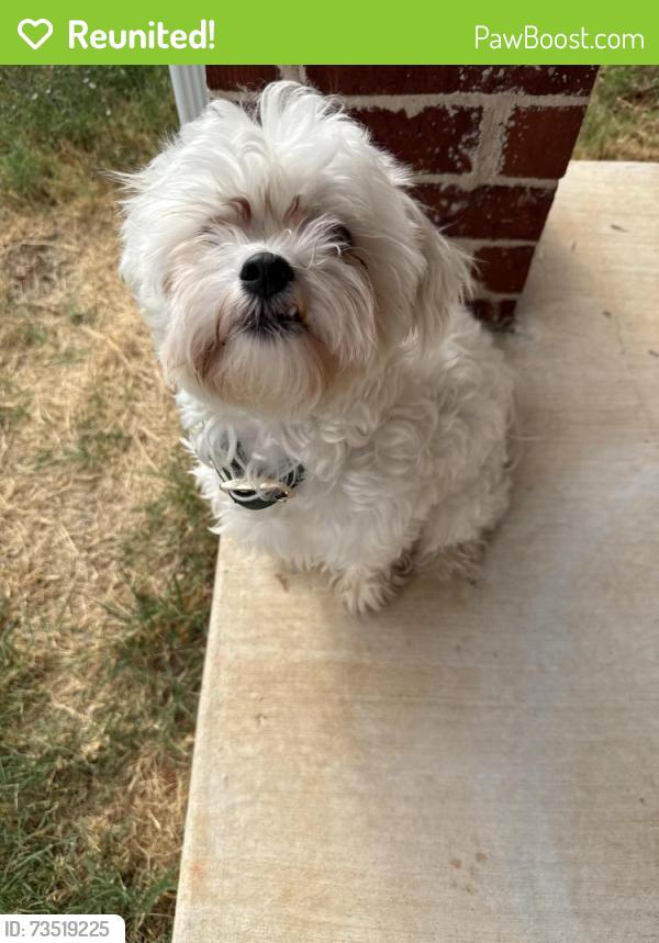 Reunited Male Dog last seen May Ave & 178th, Oklahoma City, OK 73012