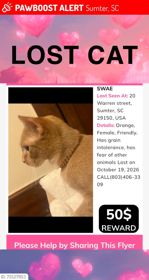 Lost Female Cat last seen Octopharma, Sumter, SC 29150