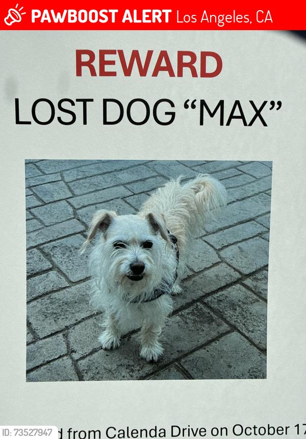 Lost Male Dog last seen Valley Circle & Calenda Drive, Los Angeles, CA 91367