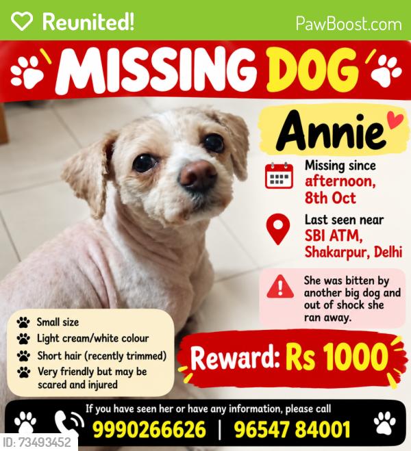 Reunited Female Dog last seen SBI ATM school block, Delhi, DL 110092
