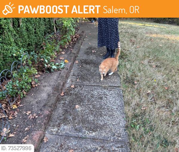 Found/Stray Unknown Cat last seen Glenn Creek and est CT NW, Salem, OR 97304