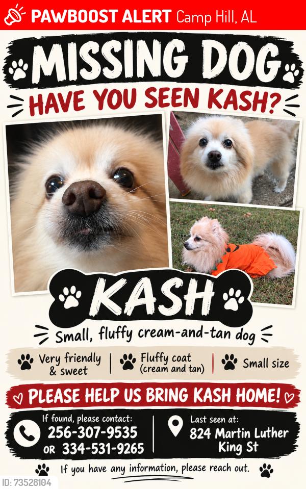 Lost Male Dog last seen Near Martin Luther king st, Camp Hill, AL 36850