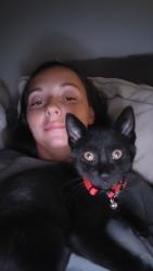 Lost Male Cat last seen On camera, Braidwood, IL 60408