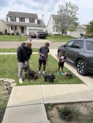 Reunited Male Dog last seen Noe Bixby and Hatfield, Columbus, OH 43232