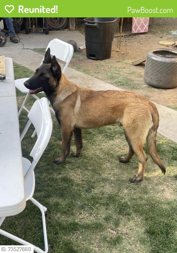 Reunited Male Dog last seen Near W Olive Ave, Fresno, CA 93728, USA, Fresno, CA 93728