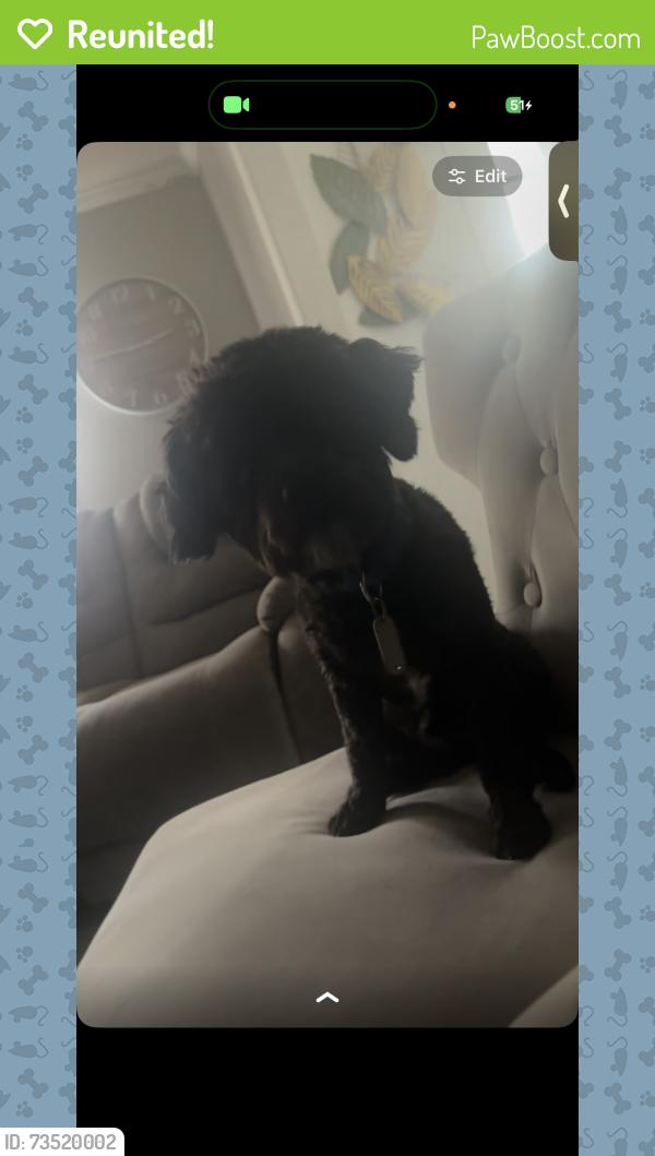 Reunited Male Dog last seen Airport Rd Wilson NC, Wilson, NC 27896