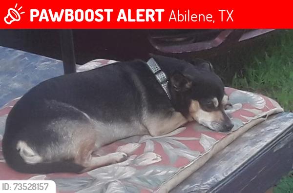 Lost Male Dog last seen T&P Lane, Abilene, TX 79602