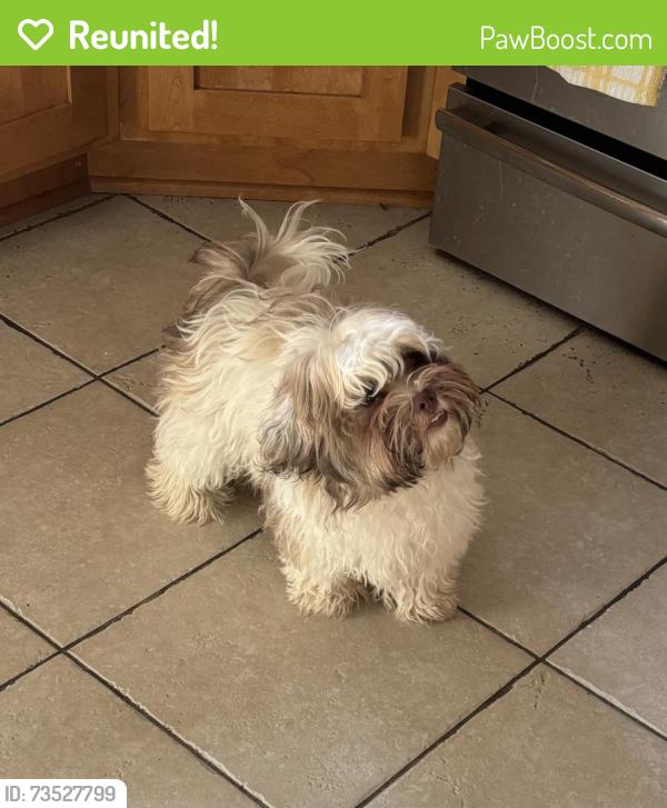 Reunited Male Dog last seen 35th & Tyler street NE, Minneapolis, MN 55413