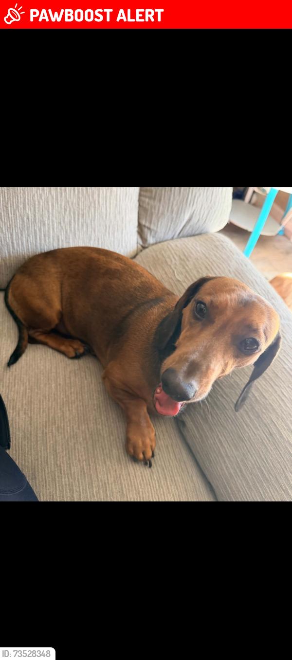 Lost Male Dog last seen Langworth rd and 108, Stanislaus County, CA 95367