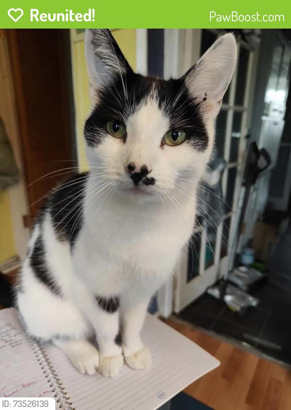 Reunited Male Cat last seen Sir hiltons road, West Midlands, England 