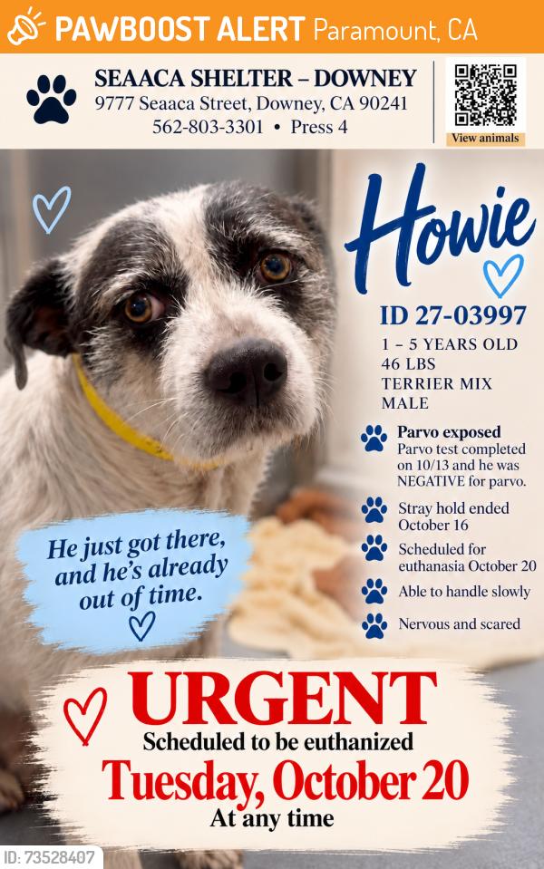 Found/Stray Male Dog last seen SEAACA Shelter Downey, Paramount, CA 90805