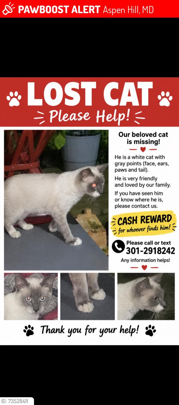Lost Male Cat last seen Georgia avenue and bell pre rd, Aspen Hill, MD 20853