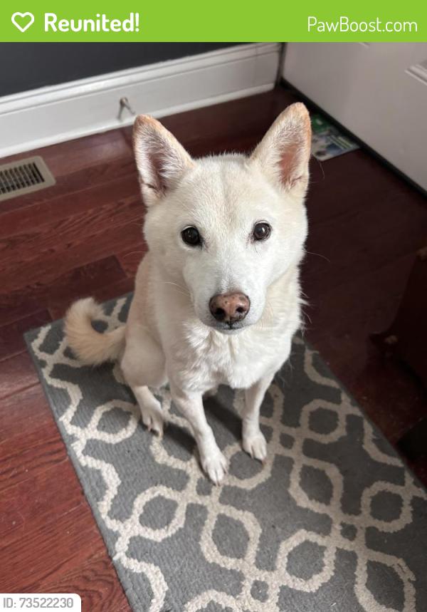 Reunited Female Dog last seen Milford Road, Lehman Township, PA 18324