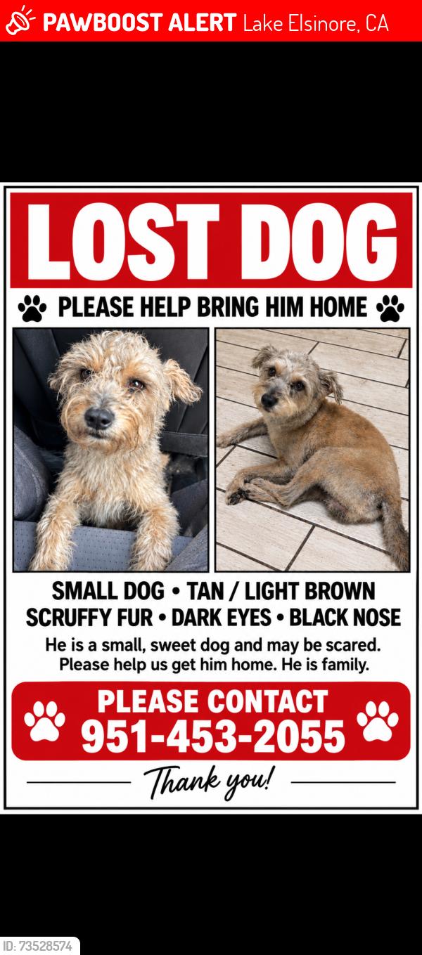 Lost Male Dog last seen Grande ave, Lake Elsinore, CA 92530