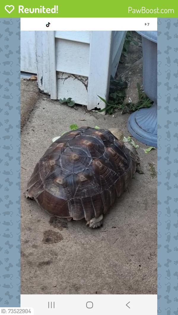 Reunited Female Reptile last seen Near st helena, Sauget, IL 62206