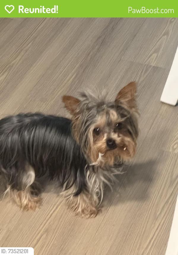 Reunited Female Dog last seen Barnett Avenue, San Diego, CA 92110
