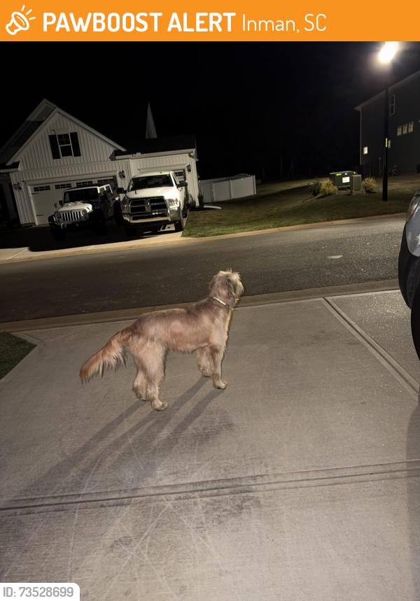 Found/Stray Male Dog last seen Hannon dr, Inman, SC 29349