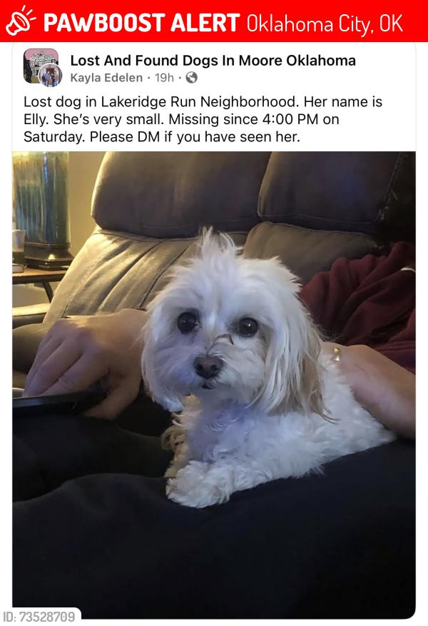 Lost Female Dog last seen SW 112th and May, Oklahoma City, OK 73170