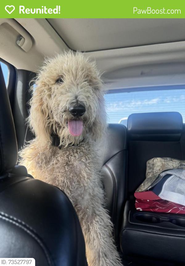 Reunited Male Dog last seen Highway 80 near apmts and dealership, Terrell, TX 75160