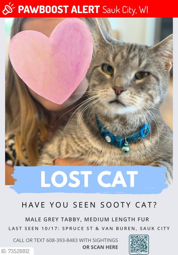 Lost Male Cat last seen Van Buren and Spuice St, Sauk City, Sauk City, WI 53583