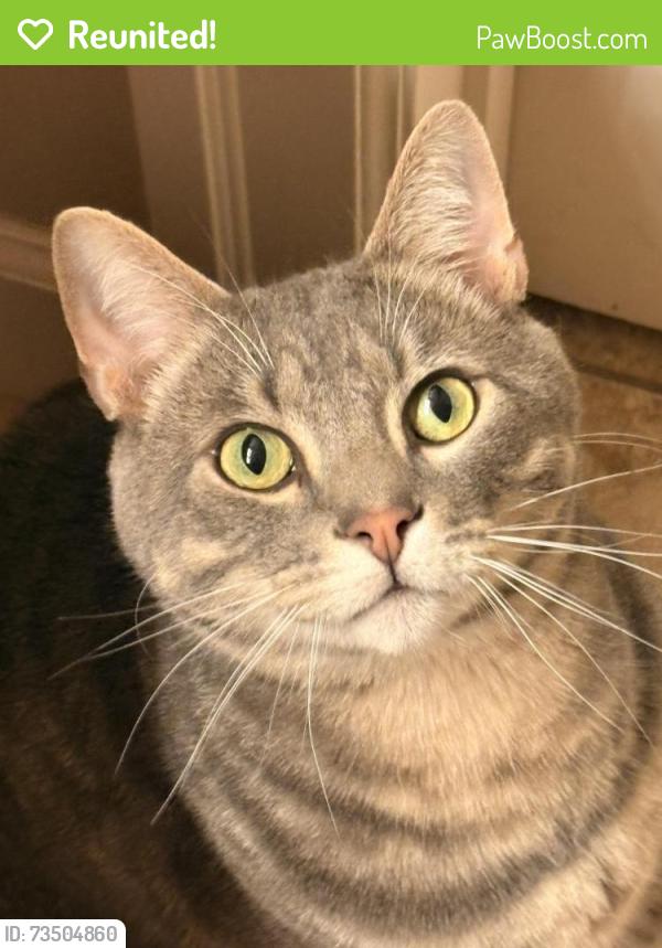 Reunited Male Cat last seen McGonagle, Selah, WA 98942