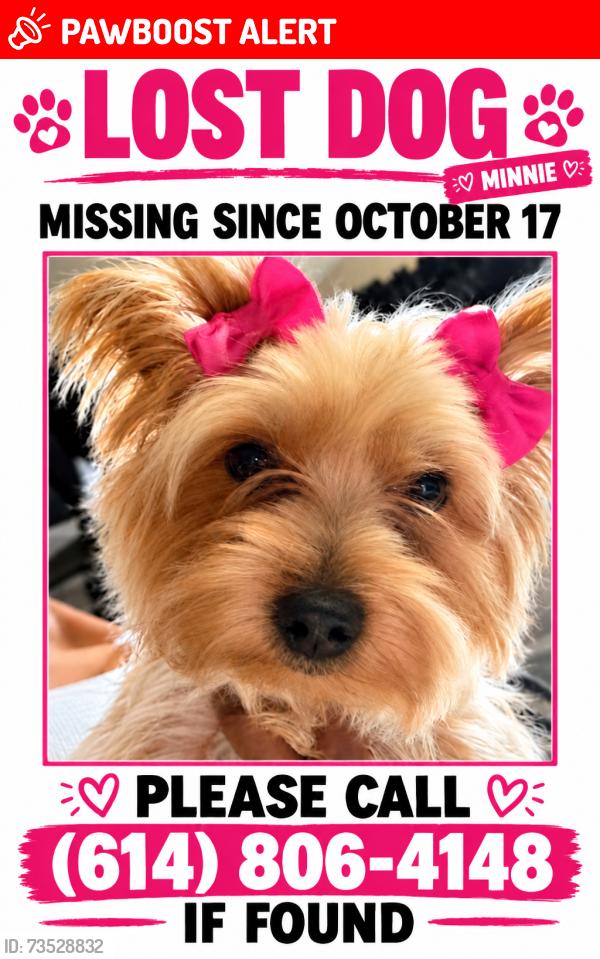 Lost Female Dog last seen Gender, Canal Winchester, OH 43110