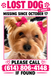 Lost Female Dog last seen Gender, Canal Winchester, OH 43110