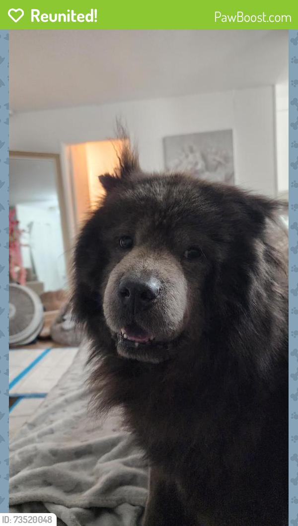 Reunited Male Dog last seen 47th street, San Diego, CA 92102