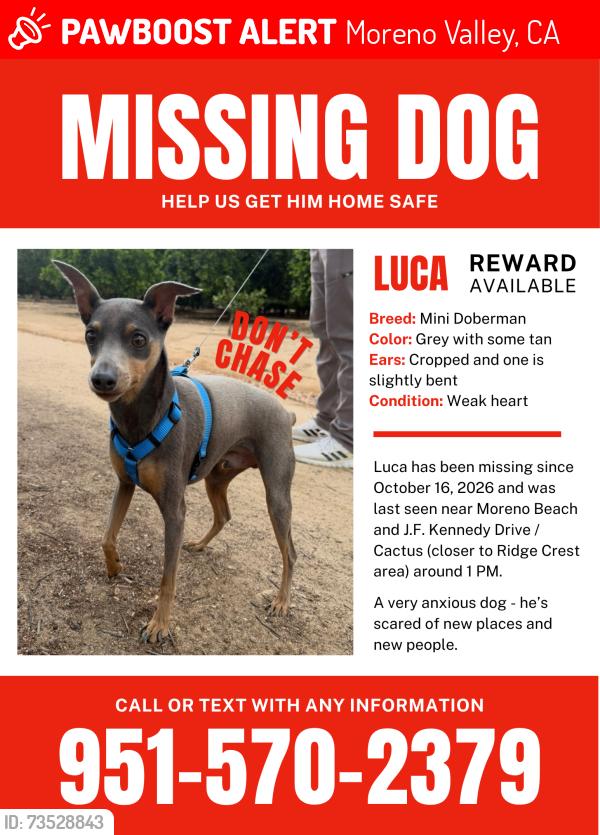 Lost Male Dog last seen Moreno beach Dr. & Cactus Ave., Moreno Valley, CA 92555