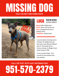Lost Male Dog last seen Moreno beach Dr. & Cactus Ave., Moreno Valley, CA 92555