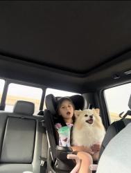 Reunited Female Dog last seen Oak Grove Road, Fort Worth, TX 76140