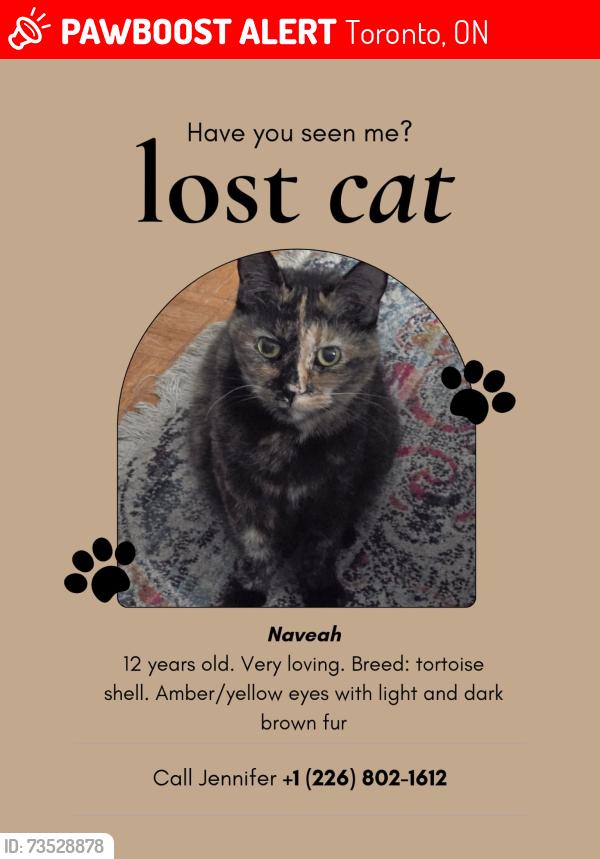 Lost Female Cat last seen Oakwood and Davenport, Toronto, ON 