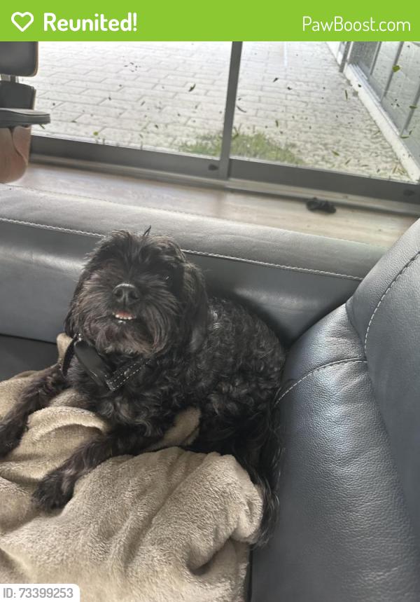 Reunited Male Dog last seen Hansen, Sarasota, FL 34237