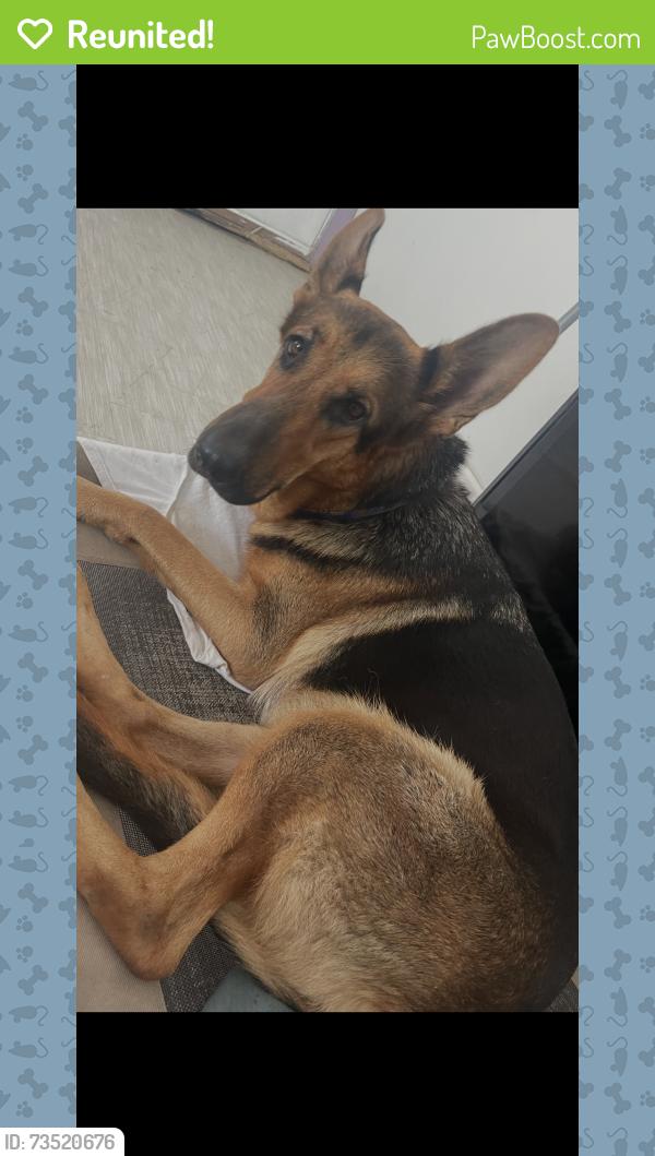Reunited Female Dog last seen Winbourne Avenue, Baton Rouge, La, Usa, Baton Rouge, LA 70805