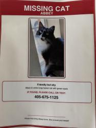 Lost Female Cat last seen Nw 58th and Ross, Oklahoma City, OK 73112