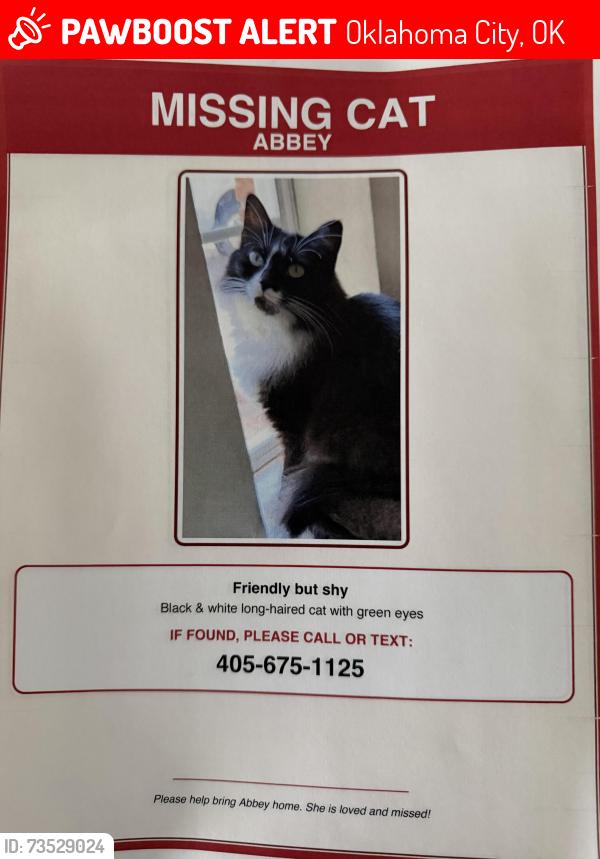 Lost Female Cat last seen Nw 58th and Ross, Oklahoma City, OK 73112